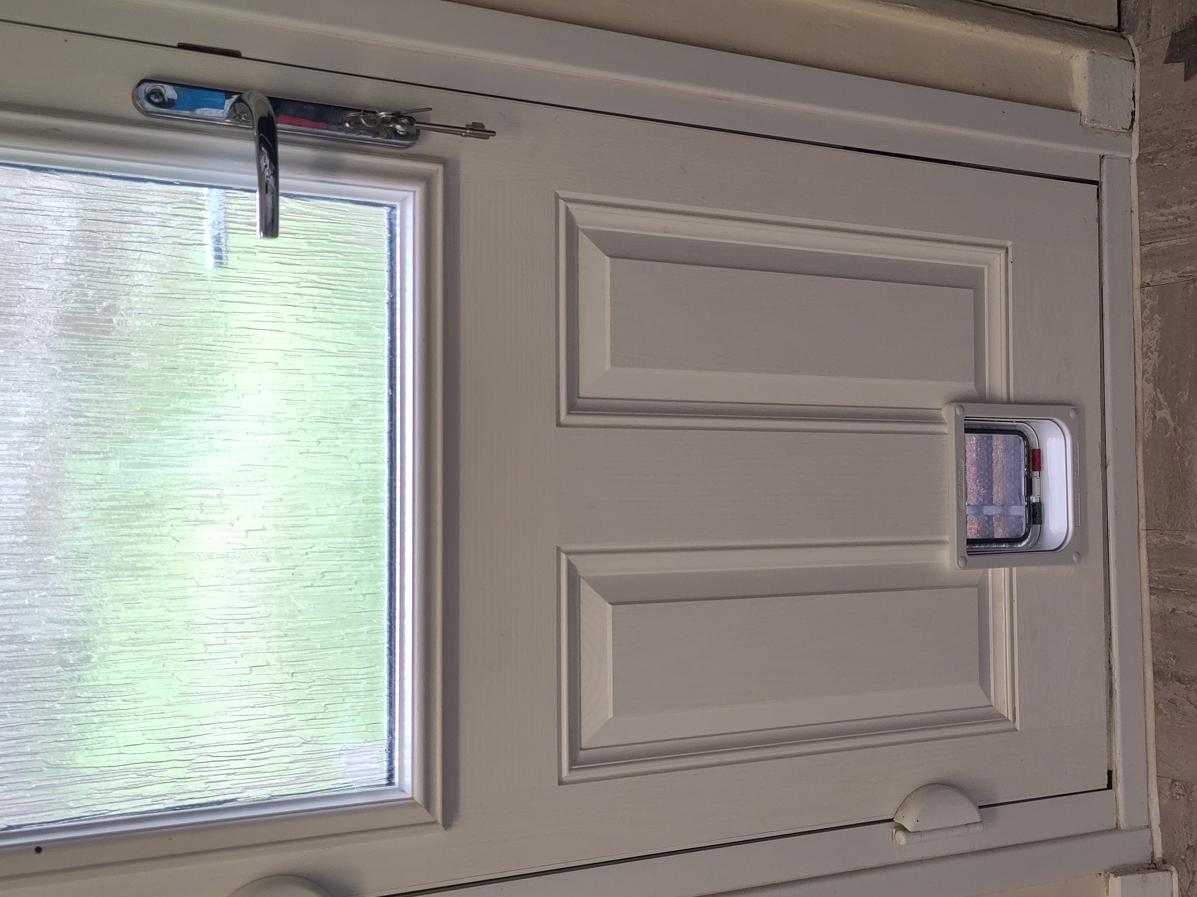cat flap 1
